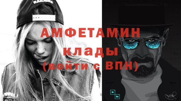 индика Аркадак